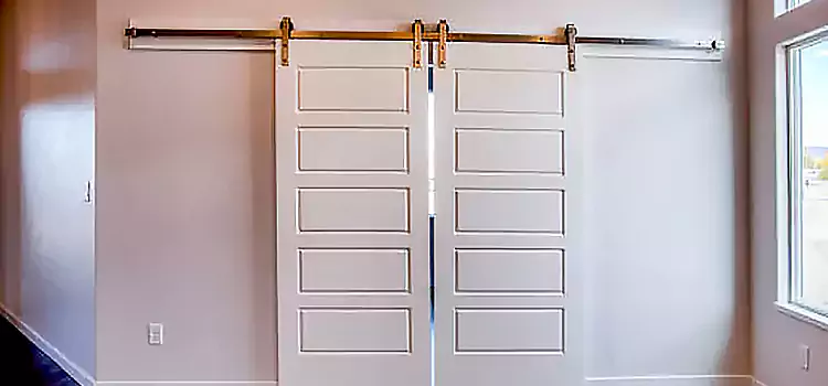 Glass Barn Door with Installation Hardware Kit Crown Point