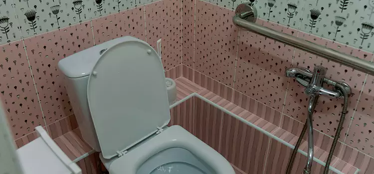 Meeting Diverse Needs With Accessible Restroom Solutions in Crown Point, IN