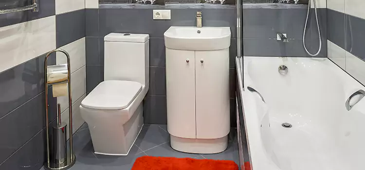 Hansgrohe Shaving Mirror Crown Point