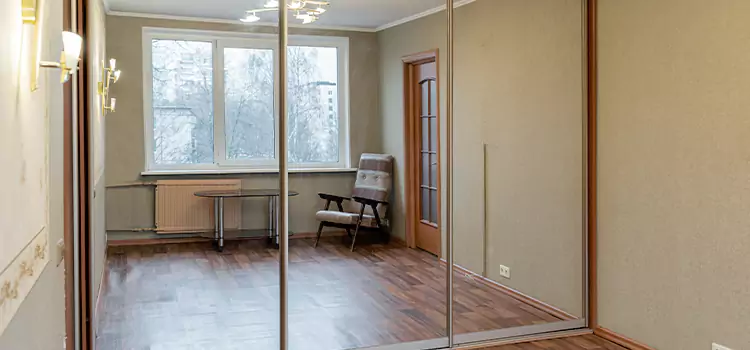 Mirror Closet Door Roller Replacement Crown Point